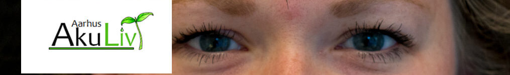 Kinesisk Akupunktur og Fysioterapi